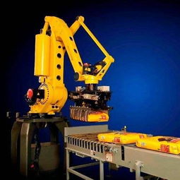 Various Cupcakes Designs