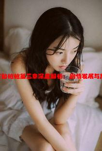 《女婿有劲枪枪第三章深度解析：剧情发展与角色命运》